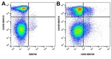Anti Mouse CD80 Antibody, clone RM80 gallery image 5