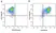 Anti Mouse CD80 Antibody, clone RM80 thumbnail image 7