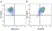 Anti Mouse CD80 Antibody, clone RM80 thumbnail image 8