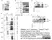 Anti Mouse CD81 Antibody, clone Eat2 thumbnail image 4
