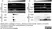 Anti Mouse CD81 Antibody, clone Eat2 thumbnail image 9