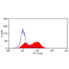 Anti Mouse CD83 Antibody, clone 3D11 gallery image 1