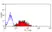 Anti Mouse CD83 Antibody, clone 3D11 thumbnail image 5