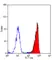 Anti Mouse CD88 Antibody, clone 10/92 thumbnail image 1