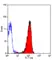 Anti Mouse CD88 Antibody, clone 10/92 thumbnail image 2