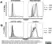 Anti Mouse CD88 Antibody, clone 20/70 thumbnail image 1