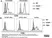 Anti Mouse CD88 Antibody, clone 20/70 thumbnail image 2