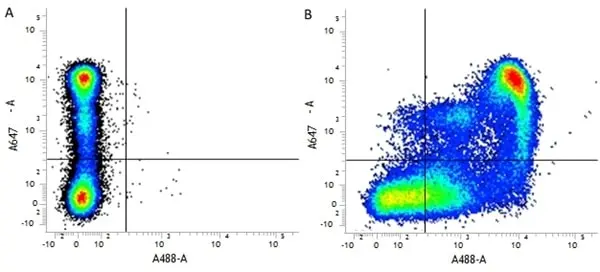 Anti Mouse CD9 Antibody, clone MF1 gallery image 2