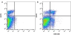 Anti Mouse CD90 Antibody, clone F7D5 gallery image 1