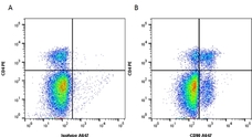 Anti Mouse CD90 Antibody, clone F7D5 | Bio-Rad