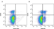 Anti Mouse CD90 Antibody, clone F7D5 gallery image 2