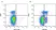 Anti Mouse CD90 Antibody, clone F7D5 thumbnail image 2