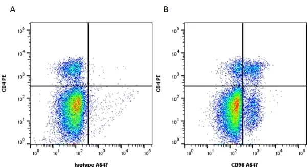 Anti Mouse CD90 Antibody, clone F7D5 gallery image 2