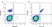 Anti Mouse CLEC2 Antibody, clone 17D9 thumbnail image 1