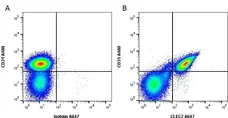 Anti Mouse CLEC2 Antibody, clone 17D9 gallery image 2