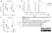 Anti Mouse Dectin-1 Antibody, clone 2A11 thumbnail image 12