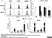Anti Mouse Dectin-1 Antibody, clone 2A11 thumbnail image 14