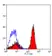 Anti Mouse Dectin-1 Antibody, clone 2A11 thumbnail image 1
