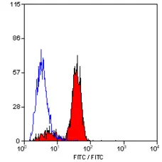 Anti Mouse Dectin-1 Antibody, clone 2A11 gallery image 3