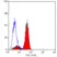 Anti Mouse Dectin-1 Antibody, clone 2A11 thumbnail image 3