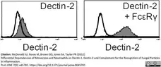 Anti Mouse Dectin-2 Antibody, clone D2.11E4 gallery image 2