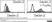 Anti Mouse Dectin-2 Antibody, clone D2.11E4 thumbnail image 2