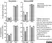 Anti Mouse Dectin-2 Antibody, clone D2.11E4 thumbnail image 3