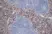 Anti Mouse Dectin-2 Antibody, clone D2.11E4 thumbnail image 4