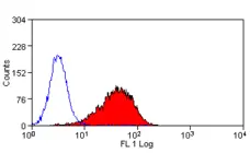 Anti Mouse Delta-Like Protein 1 Antibody, clone HMD1-5 gallery image 1