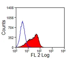 Anti Mouse Delta-Like Protein 4 Antibody, clone HMD4-2 gallery image 2