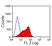Anti Mouse Delta-Like Protein 4 Antibody, clone HMD4-2 thumbnail image 2