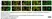 Anti Mouse ER-TR7 Antibody, clone ER-TR7 thumbnail image 10