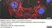 Anti Mouse ER-TR7 Antibody, clone ER-TR7 thumbnail image 7