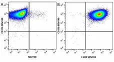 Anti Mouse F4/80 Antibody, clone Cl:A3-1 gallery image 103