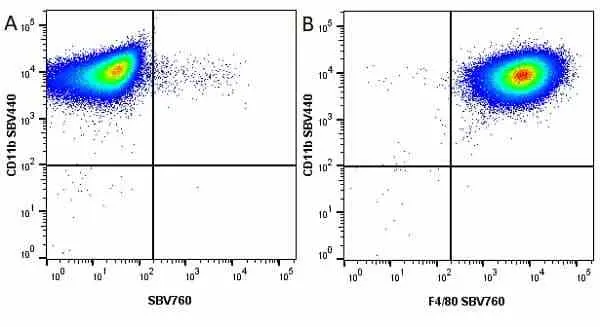 Anti Mouse F4/80 Antibody, clone Cl:A3-1 gallery image 103