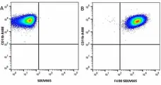 Anti Mouse F4/80 Antibody, clone Cl:A3-1 gallery image 104