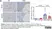 Anti Mouse F4/80 Antibody, clone Cl:A3-1 thumbnail image 110