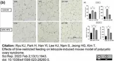 Anti Mouse F4/80 Antibody, clone Cl:A3-1 gallery image 120