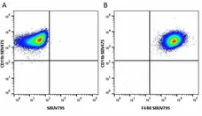 Anti Mouse F4/80 Antibody, clone Cl:A3-1 gallery image 124