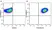 Anti Mouse F4/80 Antibody, clone Cl:A3-1 thumbnail image 124