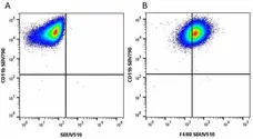 Anti Mouse F4/80 Antibody, clone Cl:A3-1 gallery image 125