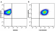 Anti Mouse F4/80 Antibody, clone Cl:A3-1 gallery image 127