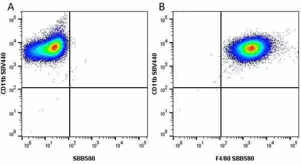 Anti Mouse F4/80 Antibody, clone Cl:A3-1 gallery image 128