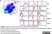 Anti Mouse F4/80 Antibody, clone Cl:A3-1 thumbnail image 13