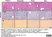 Anti Mouse F4/80 Antibody, clone Cl:A3-1 thumbnail image 141