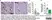 Anti Mouse F4/80 Antibody, clone Cl:A3-1 thumbnail image 144