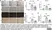 Anti Mouse F4/80 Antibody, clone Cl:A3-1 thumbnail image 149