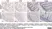 Anti Mouse F4/80 Antibody, clone Cl:A3-1 thumbnail image 150