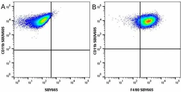 Anti Mouse F4/80 Antibody, clone Cl:A3-1 gallery image 160