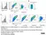 Anti Mouse F4/80 Antibody, clone Cl:A3-1 thumbnail image 164